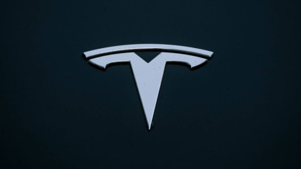 Робот Tesla Bot начал передвигаться и хватать предметы