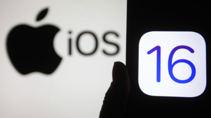 Компания Apple решила добавить новые обои в iOS 16.5