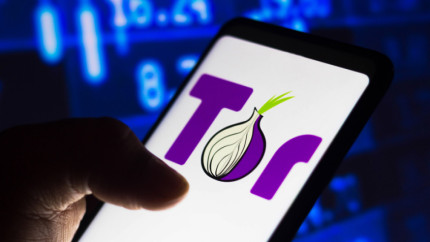 Хакеры седьмой месяц пробуют уничтожить браузер Tor