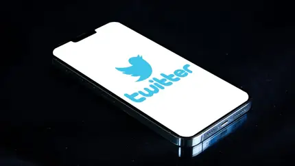 Бывшему Twitter доверять не стоит: во Франции заподозрили X в злоупотреблениях