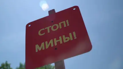 Новое российское приложение позволит находить мины