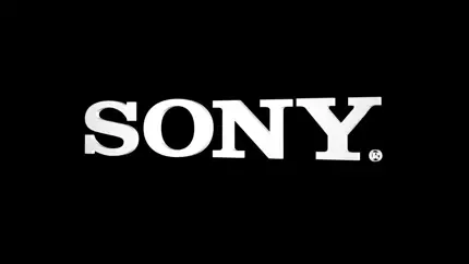 Sony может выпустить WH-1000XM4C за 250 евро