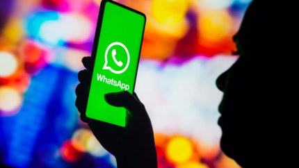 Мессенджер WhatsApp вводит очередное правило для всех россиян с 17 марта